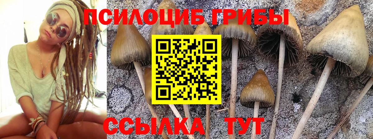 Галлюциногенные грибы Magic Shrooms Норильск