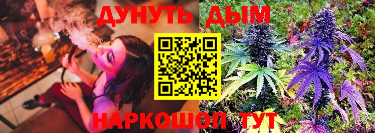 Бошки марихуана Bruce Banner  Вход с VPN  Норильск  Канабис AK-47  Каннабис планчик 